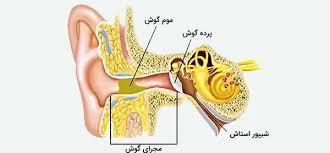 اسلاید آموزشی با عنوان مروری برآناتومی وفیزیولوژی گوش و تست های تشخیصی