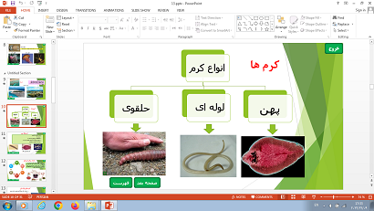 پاورپوینت فصل سیزدهم علوم تجربی پایه نهم جانوران بی مهره